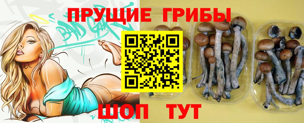 Галлюциногенные грибы GOLDEN TEACHER Новосибирск