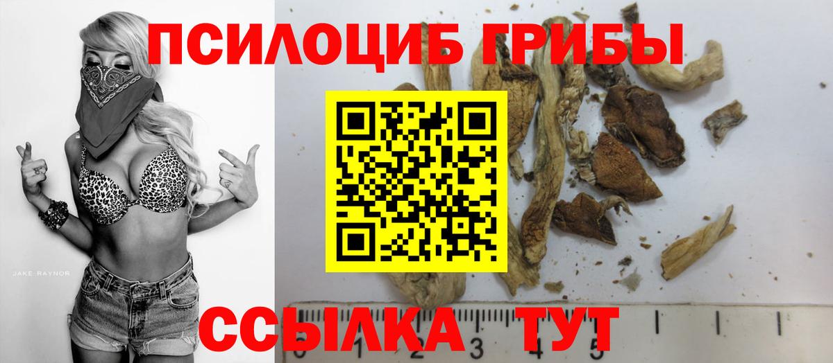 Галлюциногенные грибы Cubensis  Вход с VPN  Новосибирск  Галлюциногенные грибы Psilocybine cubensis 