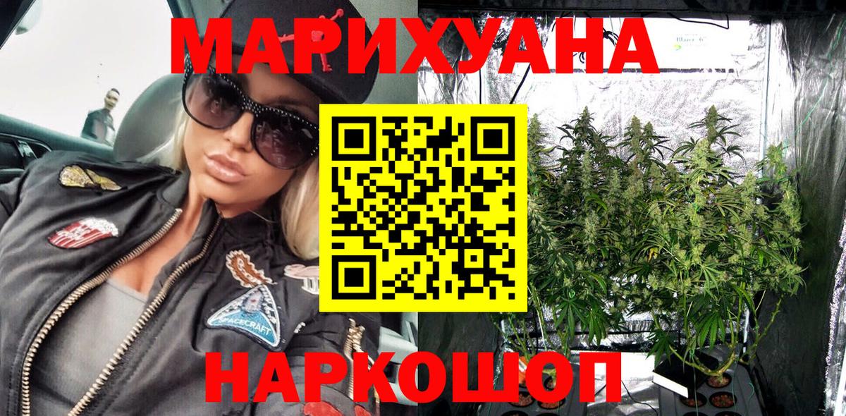 Новосибирск  Каннабис тримм  Вход с VPN  Каннабис Bruce Banner  Канабис планчик  Каннабис Ganja 